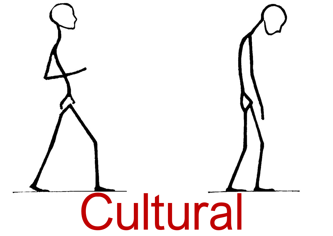CulturalCapital